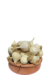 Taşköprü Tekdiş Sarımsağı